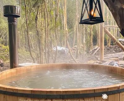 Panguipulli House | Cabañas Alto del Bosque