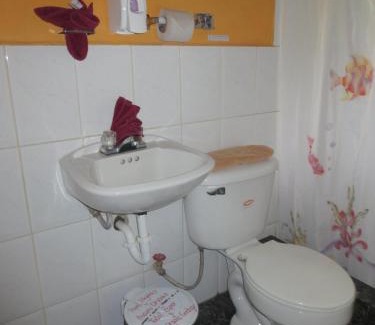 Mindo Cabin | Cabañas Armonía y Jardín de Orquídeas