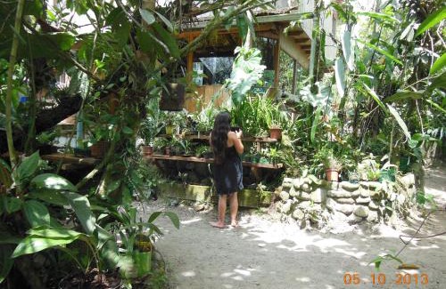 Mindo Cabin | Cabañas Armonía y Jardín de Orquídeas