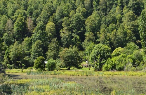 Pucon Ski Chalet | Cabañas Flor de Loto Pucón