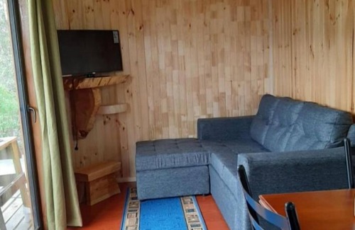 Choshuenco Cabin | Cabañas Genesis