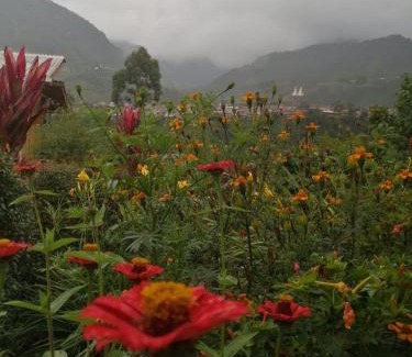Riosucio Apartment | Cabañas Lucerito Colibrí