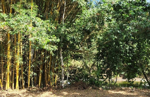 San Isidro de El General Cabin | Cabañas Para Descanso Oso Perezoso