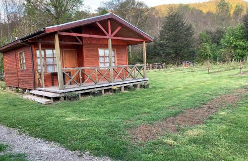 Pucon House | Cabañas Rukafun 1