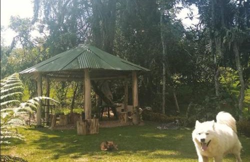 San Pedro Other | Cabañas Rusticas El Viejo Tambo