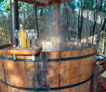 Pinto Apartment | Cabañas Tía Marce, Los Lleuques