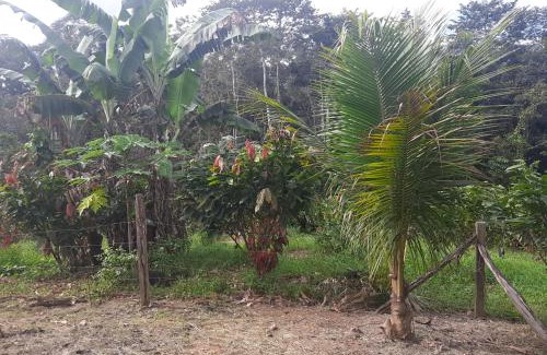 Tarapoa House | Cabañas Tarapuya