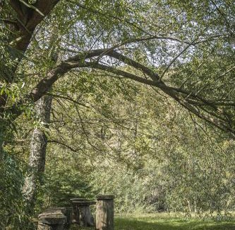 Curarrehue House | Cabañas Tierra Nueva