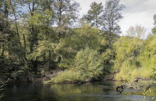 Curarrehue House | Cabañas Tierra Nueva