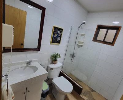 Pucon Apartment | Cabañas Torres Del Bosque