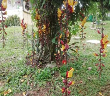 Floridablanca Apartment | Cabañita en medio de la Naturaleza Mesa de Ruitoque