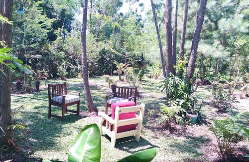 Sapiranga Other | Cabana Bambu