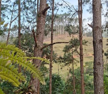 Tijucas House | Cabana Beija Flor, a nest in nature