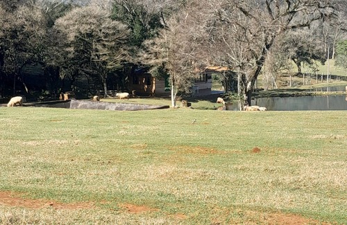 Sao Francisco de Paula Cabin | Cabana em Área Rural com Total Privacidade e Conforto com Natureza Exuberante