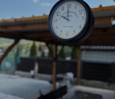 Ocna Mures House | Cabana Carpatin