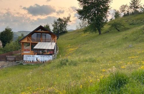 Horea Ski Chalet | Cabana de sub mesteceni