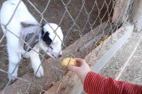 Itapevi Resort | Cabana Della Vittoria Parque