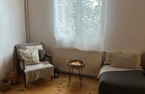 Muntele Baisorii Cabin | Cabana dintre brazi