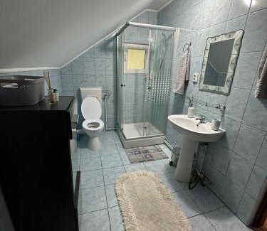 Muntele Baisorii Cabin | Cabana dintre brazi