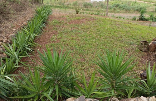 Machadinho House | Cabana econômica para 12 pessoas