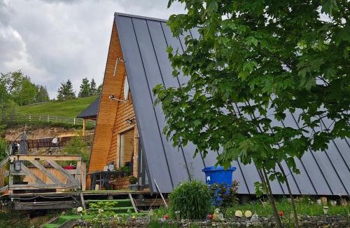 Horea Cabin | Cabana Lupul din Apuseni