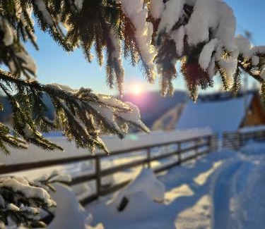 Horea Cabin | Cabana Lupul din Apuseni