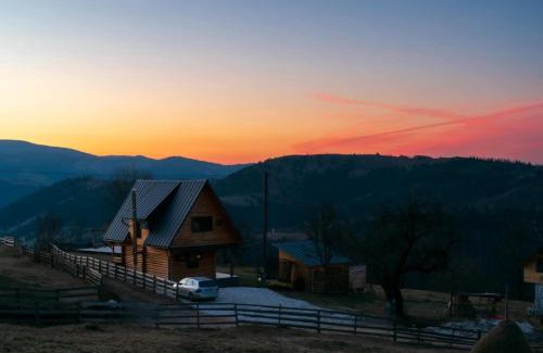 Horea Cabin | Cabana MIYA