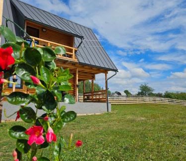 Horea Cabin | Cabana MIYA