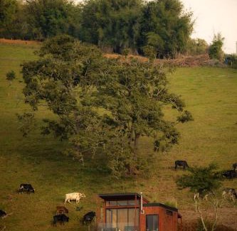Goncalves Ski Chalet | Cabana Tekoá - Teto de vidro e telão de cinema
