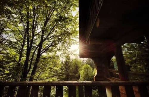 Potton Ski Chalet | Cabane du Hibou - Wood fireplace - Mont Owl's Head