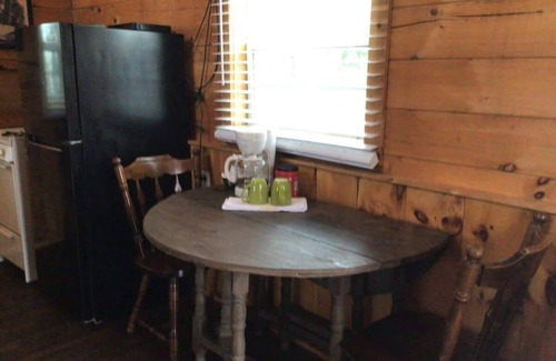 Columbia Cabin | Cabin 2 - Log Cabin Retreat near Green River Lake Sleeps 5!