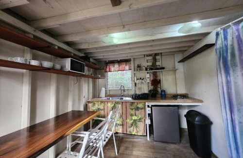 Fern Forest House | Cabin 2-Rustic private stay near Volcano National Park