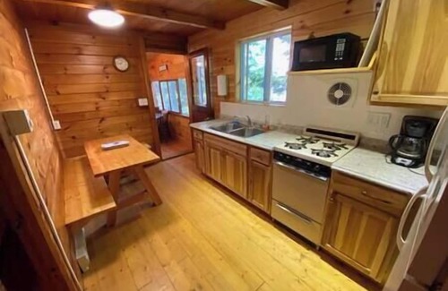 Indian Lake House | Cabin 2 - Waterfront at Lake Abanakee