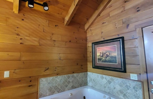 Galax Cabin | Cabin 295- Trail's End