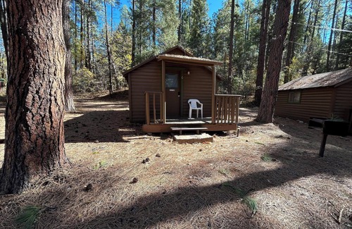 Christopher Creek Cabin | Cabin #6 - Studio - No Fireplace