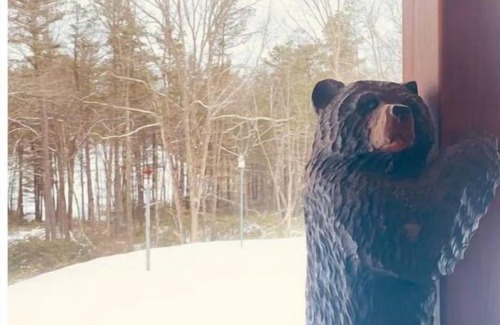 Lock Haven Cabin | Cabin 8 miles to Pine Creek Pa. Minutes to ATV and snow mobile trail and Hyner