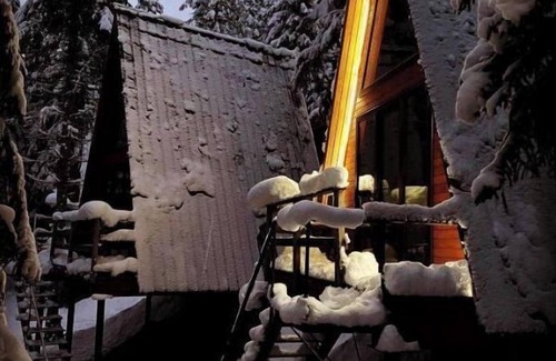 Bagvdanari Cottage | Cabin in the forest, near to ski lift, provide breakfast and dinner
