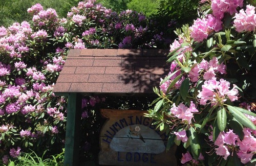 Franklin Cabin | Cabin in the mountains.privacy, huge covered porch, hiking, waterfalls