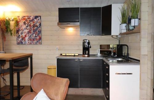 Tzummarum House | Cabin in Tzummarum with Pool and Tennis Court