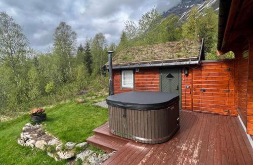 Dalsbygda Apartment | Cabin near the lake