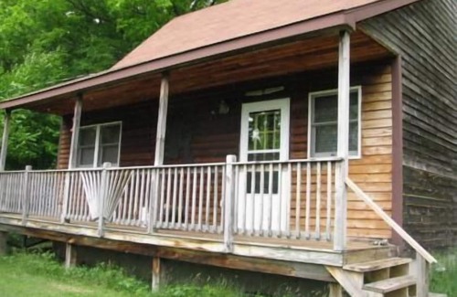 Susquehanna Cabin | Cabin on 4 acres near Elk Mountain/Dogs OK/Easy Drive from Philly and NYC