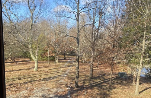 Scheller House | Cabin on Lake Minutes from Rend Lake