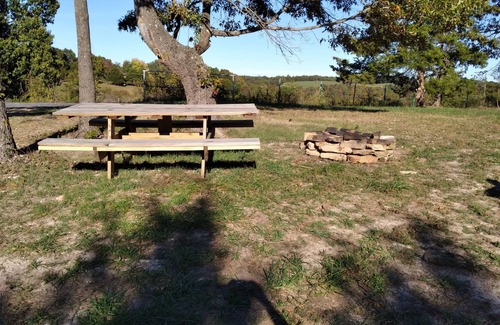 Marshall Cabin | Cabin with a tree house on a working buffalo farm near the Buffalo River.