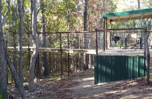 Marshall Cabin | Cabin with a tree house on a working buffalo farm near the Buffalo River.
