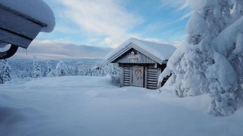 Fla Municipality House | Cabin With Chalet Feel In Eggedal