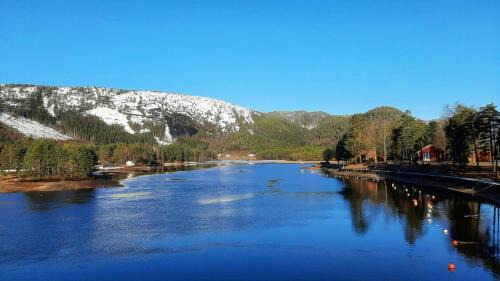 Bygland House | Cabin With Dock By Otra In Setesdal