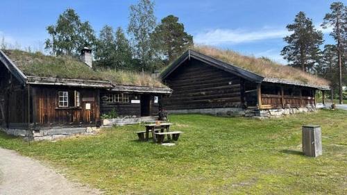 Rauland House | Cabin With Mountain View Near Lake Totak