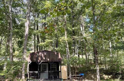 Logan Cabin | Cabins in a Clearing: Walnut, Chestnut & Beech - Check all three