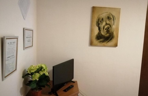 Negrar Apartment | Cadelvolto carrista 7A