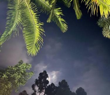 Piedade House | Café com chocolate